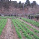 영하농장 이미지