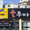 술푸마 Daum카페