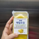 씨유 영등프라임점 | [편의점신상] 매일우유 초당옥수수 소금롤 자만추 성공