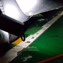 애니카랜드 상동점 이미지