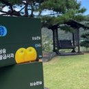 골드애플팜