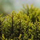 문촌공인중개사사무소 이미지