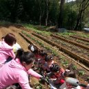 하늘바다어린이집 이미지