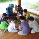 금부초병설유치원 이미지