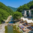 둥지펜션 야영장 이미지