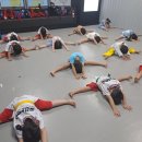 경희대 최강 MTA 태권도 이미지