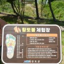 안성맞춤 실내체육관 이미지