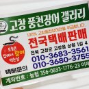 고창풍천장어갤러리 이미지