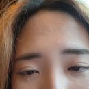 영화캠프 | 2026 월정사 글로벌 리더 캠프 후기