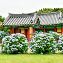 혼인지마을 이미지