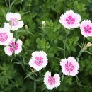 수목원 입구 이미지