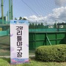 고양리틀야구장 이미지
