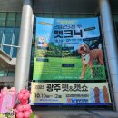 안녕, 펫 | 2025 광주펫쇼 사전예약 펫박람회 김대중컨벤션센터 주차 부스 배치도 후기