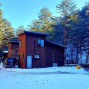 태백고원자연휴양림 자동차야영장 이미지