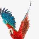 큐브미술학원 이미지