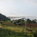 해안동백펜션 이미지