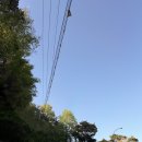 공세초등학교(병설) | 용인애견운동장 대형견도 가능한 테일45