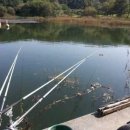 봉서 통나무 펜션 이미지