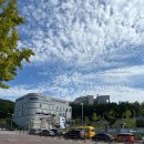 화창행정사 사무소 이미지