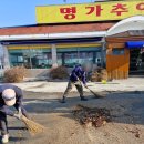 느티나무회관 | 대형 느티나무자르기작업