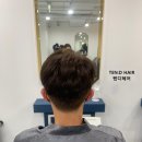 텐디헤어