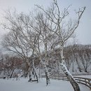 연일목장 이미지