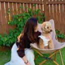 바우하우스 105 이미지