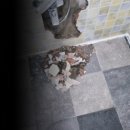 청두곶7길 21 | 혼자 사는 주택이라 꽤 만족하면서 살고 있었어요.