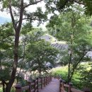 양산팔경 금강둘레길 이미지