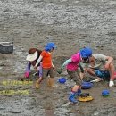 해와달해양낚시공원 이미지