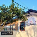 금능이모네 | 제주도 보말 맛집 ‘금능이모네’ 솔직 후기 | 보말죽, 보말칼국수 제대로 먹은 곳 [맛집 탐방 22회차]