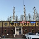 생선명가거북명태 이미지