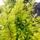 사철농장 이미지