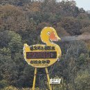 생오리마당 이미지