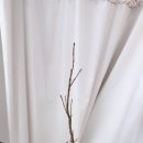 동양 꽃꽂이(수시접수) 이미지