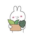 그로브팟 이미지