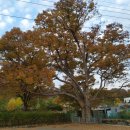 용담마을길 이미지