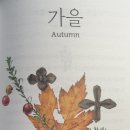 파우파우(PAW PAW) 이미지