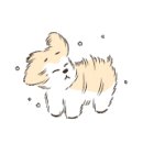 퐁이네 애견 이미지