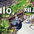 제주플래티늄카라반 이미지