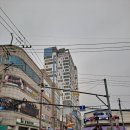 서안성농업협동조합공도중앙지점 네이버블로그