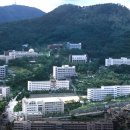 부산경상대학교 국제신문