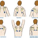 이즈메디의원 이미지