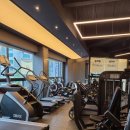 헬린이짐 이미지