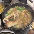 명우유통 | 신사역 소고기 맛집 명우 한우 회식 추천