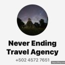 travel agency(트래블 에이전시)