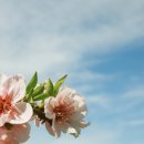 사가정한의원 이미지