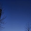 파랑새 세탁소 이미지