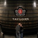 1692 | 포르투갈 스페인 신혼여행 5일차 더 이트맨 조식 테일러스 와이너리 투어 그라함스 와인 모루정원 가는...