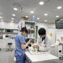 부산 리브동물의료센터 이미지